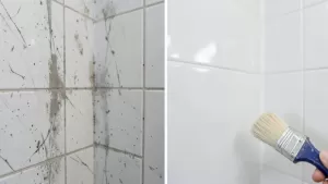 farba do malowania kabiny prysznicowej