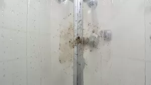 Impregnat do kabin prysznicowych ranking