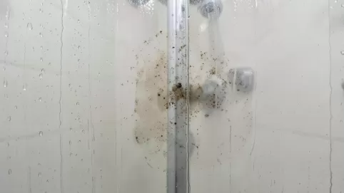 Impregnat do kabin prysznicowych ranking