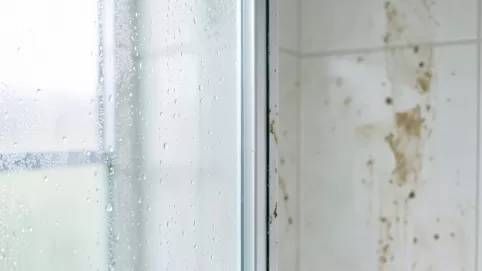 Powłoka hydrofobowa do kabin prysznicowych ranking